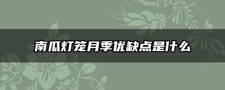南瓜灯笼月季优缺点是什么