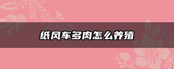 纸风车多肉怎么养殖
