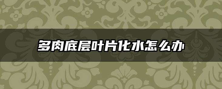 多肉底层叶片化水怎么办