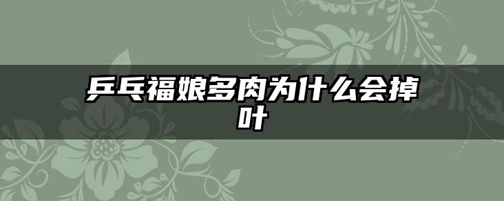 乒乓福娘多肉为什么会掉叶