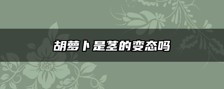 胡萝卜是茎的变态吗