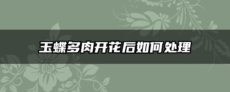 玉蝶多肉开花后如何处理