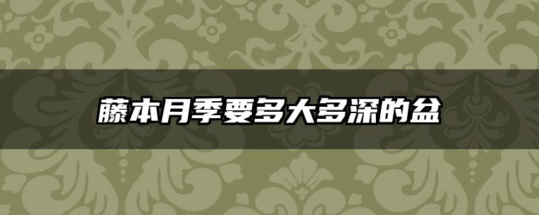藤本月季要多大多深的盆