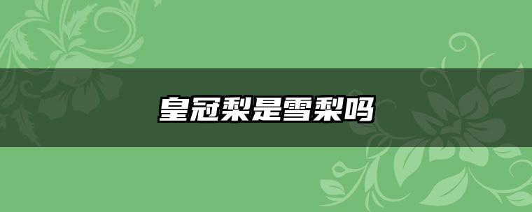 皇冠梨是雪梨吗