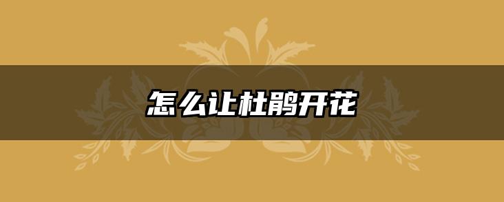 怎么让杜鹃开花