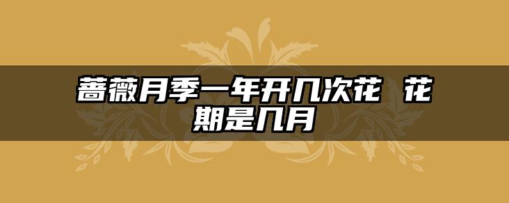 蔷薇月季一年开几次花 花期是几月