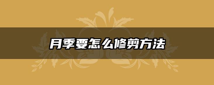 月季要怎么修剪方法