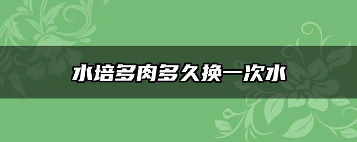 水培多肉多久换一次水