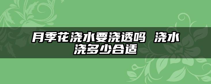 月季花浇水要浇透吗 浇水浇多少合适