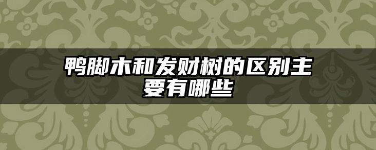 鸭脚木和发财树的区别主要有哪些