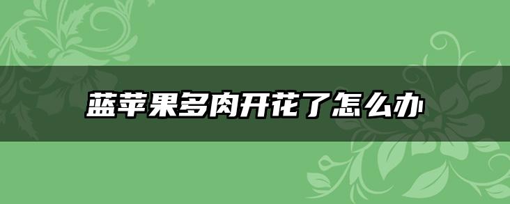 蓝苹果多肉开花了怎么办