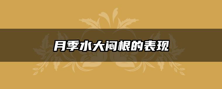 月季水大闷根的表现