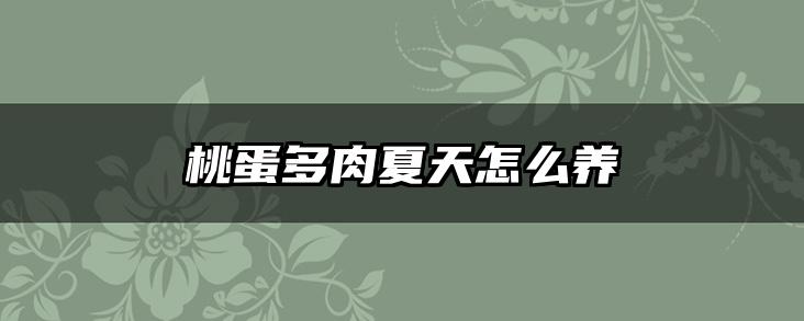 桃蛋多肉夏天怎么养