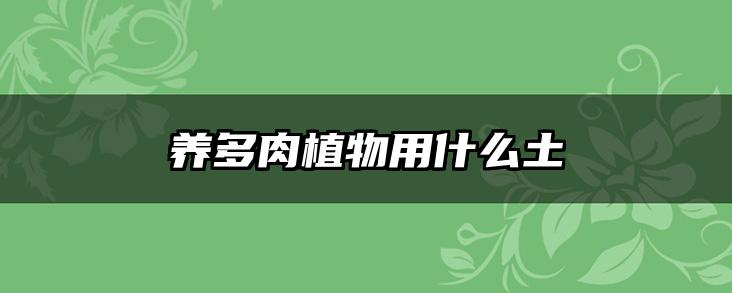养多肉植物用什么土