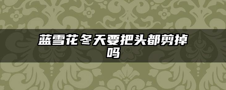 蓝雪花冬天要把头都剪掉吗