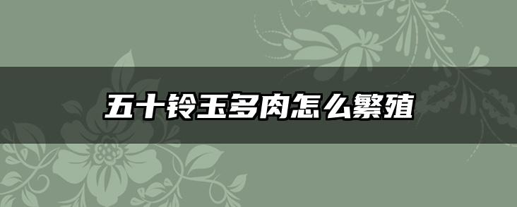 五十铃玉多肉怎么繁殖