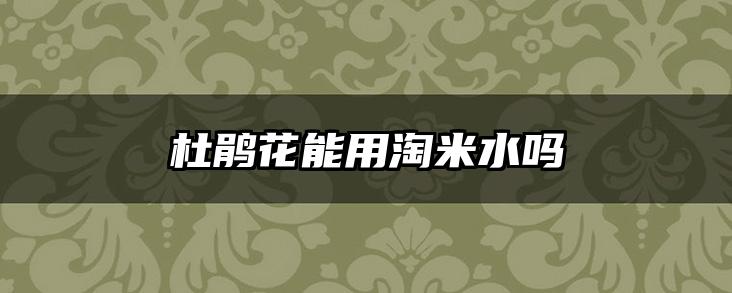 杜鹃花能用淘米水吗