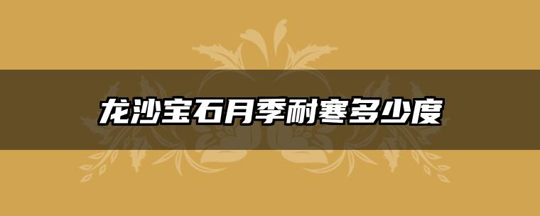 龙沙宝石月季耐寒多少度