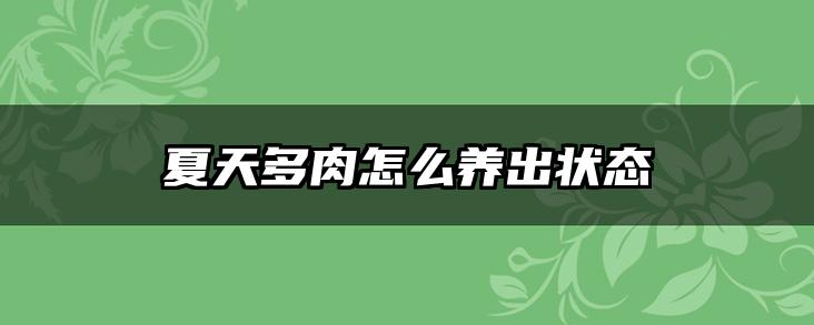 夏天多肉怎么养出状态