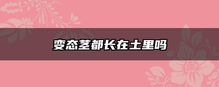 变态茎都长在土里吗