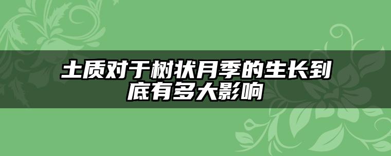 土质对于树状月季的生长到底有多大影响
