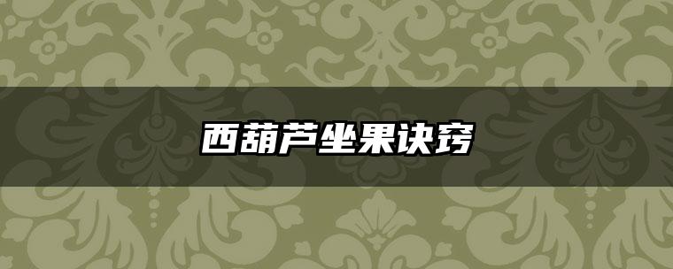 西葫芦坐果诀窍
