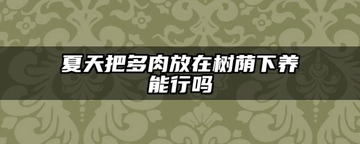 夏天把多肉放在树荫下养能行吗