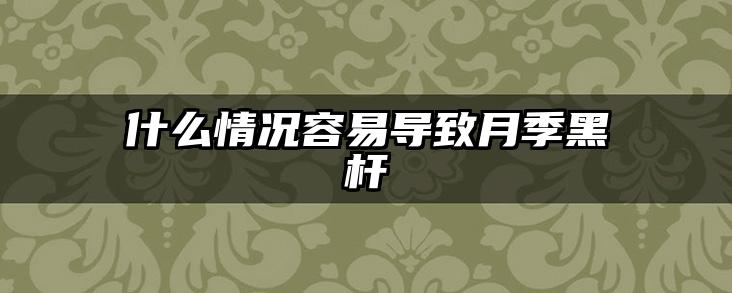 什么情况容易导致月季黑杆