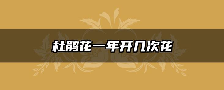 杜鹃花一年开几次花