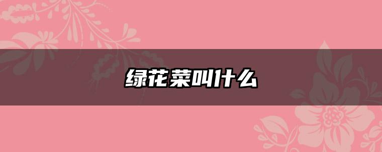 绿花菜叫什么