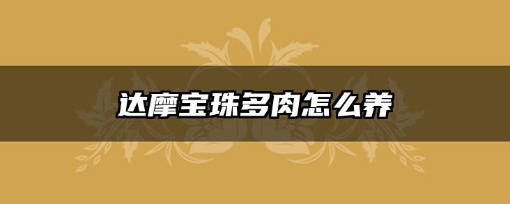 达摩宝珠多肉怎么养