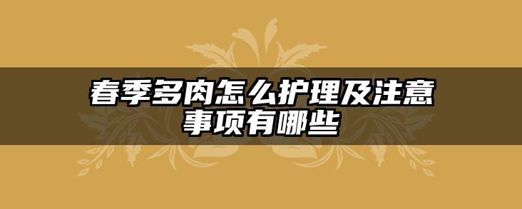 春季多肉怎么护理及注意事项有哪些