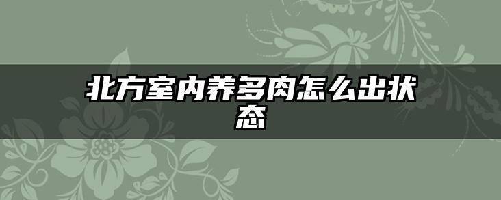 北方室内养多肉怎么出状态