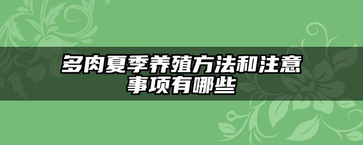 多肉夏季养殖方法和注意事项有哪些