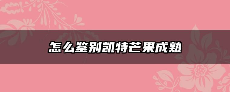 怎么鉴别凯特芒果成熟