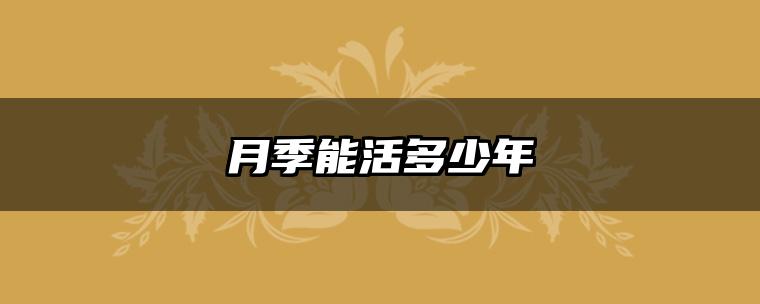 月季能活多少年
