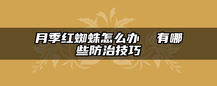月季红蜘蛛怎么办  有哪些防治技巧