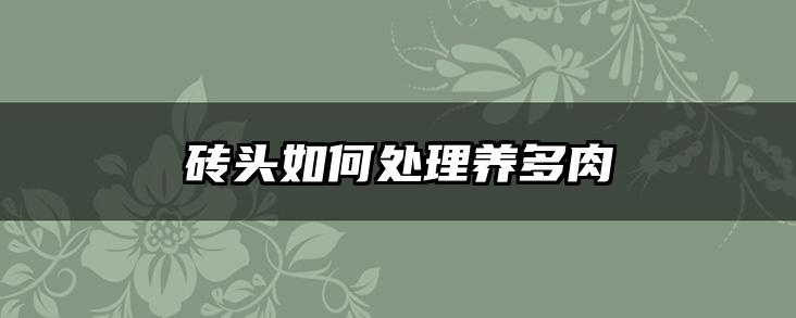 砖头如何处理养多肉