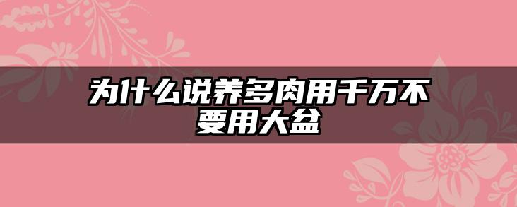 为什么说养多肉用千万不要用大盆
