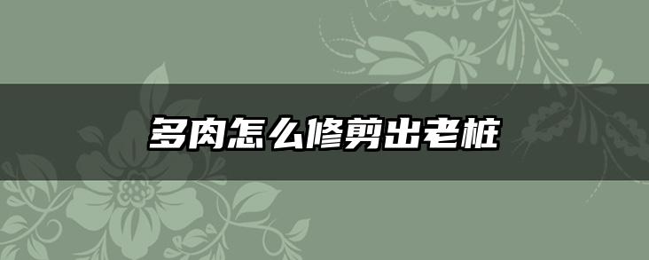 多肉怎么修剪出老桩