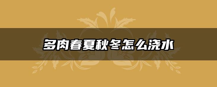 多肉春夏秋冬怎么浇水