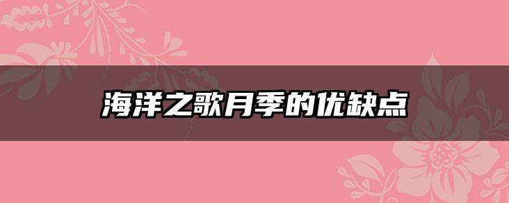 海洋之歌月季的优缺点