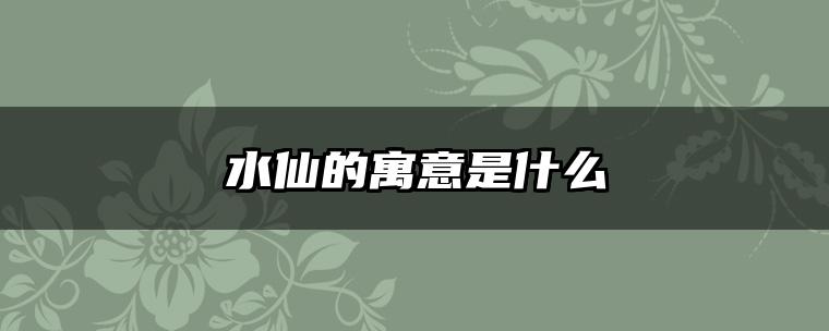 水仙的寓意是什么