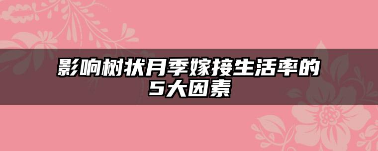 影响树状月季嫁接生活率的5大因素