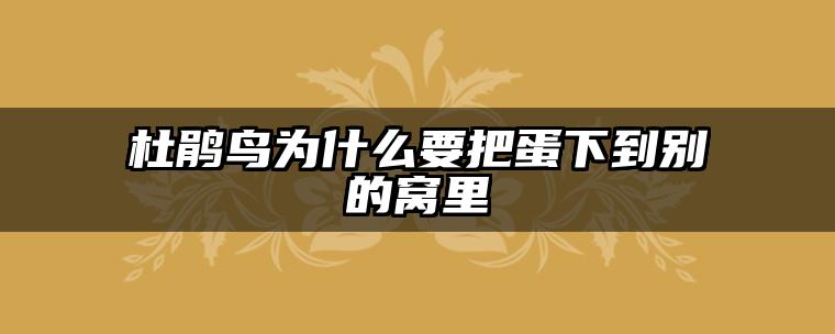 杜鹃鸟为什么要把蛋下到别的窝里