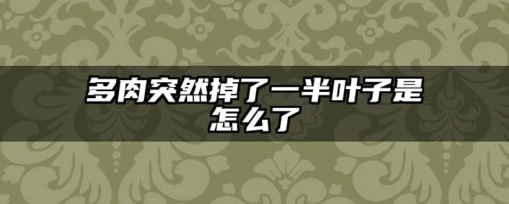 多肉突然掉了一半叶子是怎么了