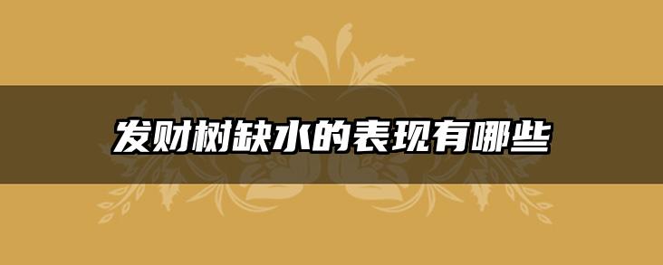 发财树缺水的表现有哪些