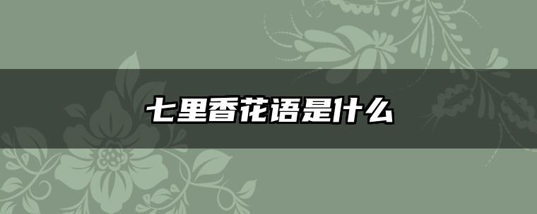 七里香花语是什么