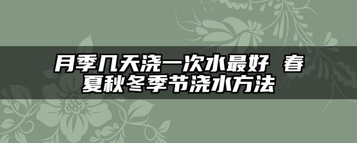 月季几天浇一次水最好 春夏秋冬季节浇水方法