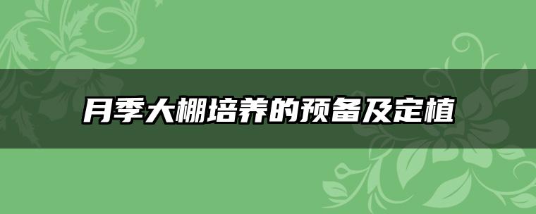 月季大棚培养的预备及定植